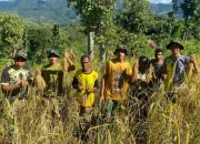 Satgas Pamtas RI–RDTL Sektor Barat Yonarhanud 15/DBY Mendukung Program Ketahanan pangan di Perbatasan Timor Leste