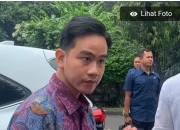 Hari ini, Wapres Gibran ke NTT, 2 Hari Kunjungi SD hingga Persawahan 