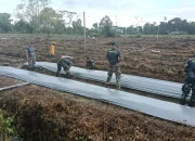 Satgas TMMD 124 Kodim 1710/Mimika dan Poktan Noken Naena Terus Kejar Target Penanaman di lokasi Pembukaan Lahan Tidur