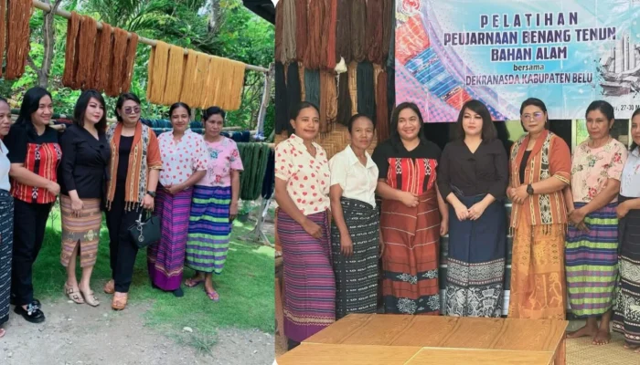 Jejak Warna dari Perbatasan: Penenun Belu Ikut Diklat  di Tanah Sumba