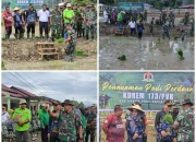 Danrem 173/PVB Pimpin Tanam Padi Perdana di Lahan Makorem Bersama Pemda dan Masyarakat