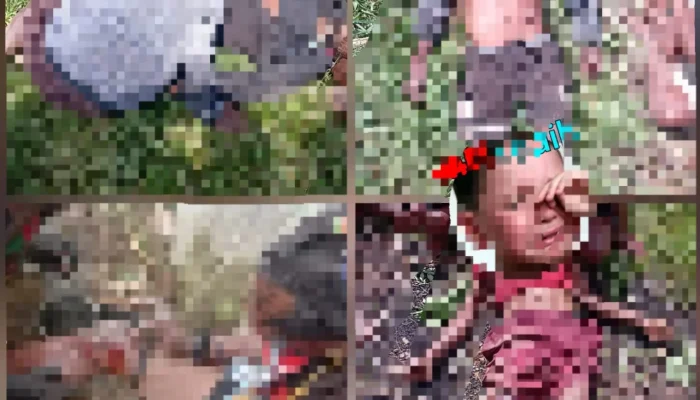 Dua Warga Sipil dan Dua Anggota TPNPB OPM Tewas Ditembak Di Intan Jaya