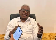 Pemda  Mimika Terbitkan Izin Khusus Pasok Daging Babi ke Mimika