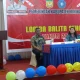 Kepala Kampung Mimika Diminta Jadi Nahkoda Posyandu