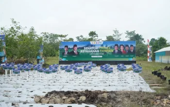 Program Peduli Ketahanan Pangan Resmi Dicanangkan di Mimika