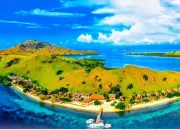 Tambang di Ujung Karang: Sebayur Besar dan Guncangan di Jantung Komodo