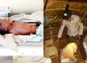 Tragedi di Amfoang Timur: Ketika Seorang Ibu Menjadi Pelaku, dan Bayinya Menjadi Korban