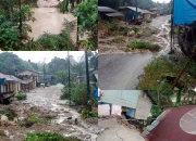 Bandang yang Menyapu Pakkat